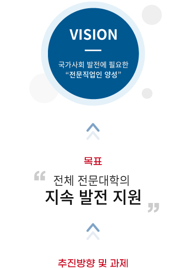 비전 사진
